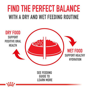 Royal Canin Veterinary Diet - Urinary SO Dog Can Thin Slices - Southern Agriculture 