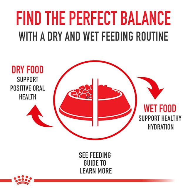 Royal Canin Veterinary Diet - Urinary SO Dog Can Thin Slices - Southern Agriculture 