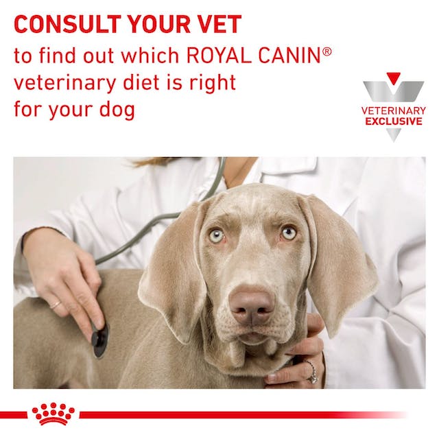 Royal Canin Veterinary Diet - Mature Consult Large Dog Dry - Southern Agriculture 