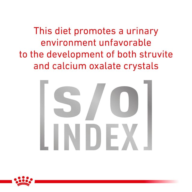Royal Canin Veterinary Diet - Urinary SO Dog Can Thin Slices - Southern Agriculture 