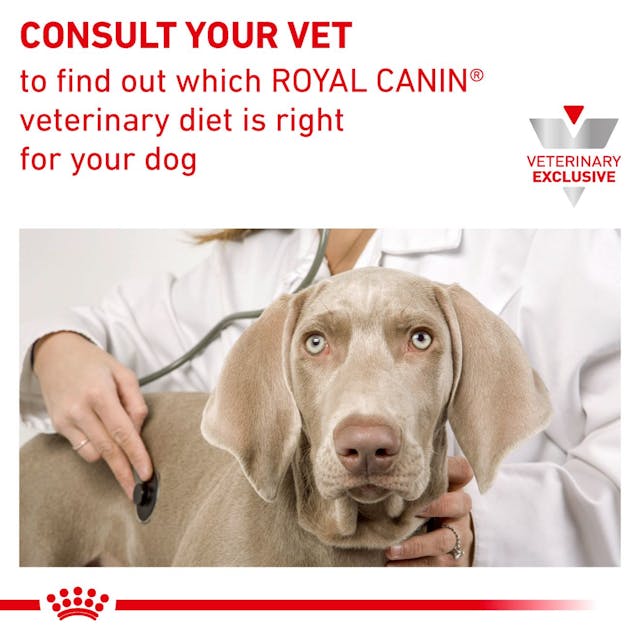 Royal Canin Veterinary Diet - Urinary SO Dog Can Thin Slices - Southern Agriculture 