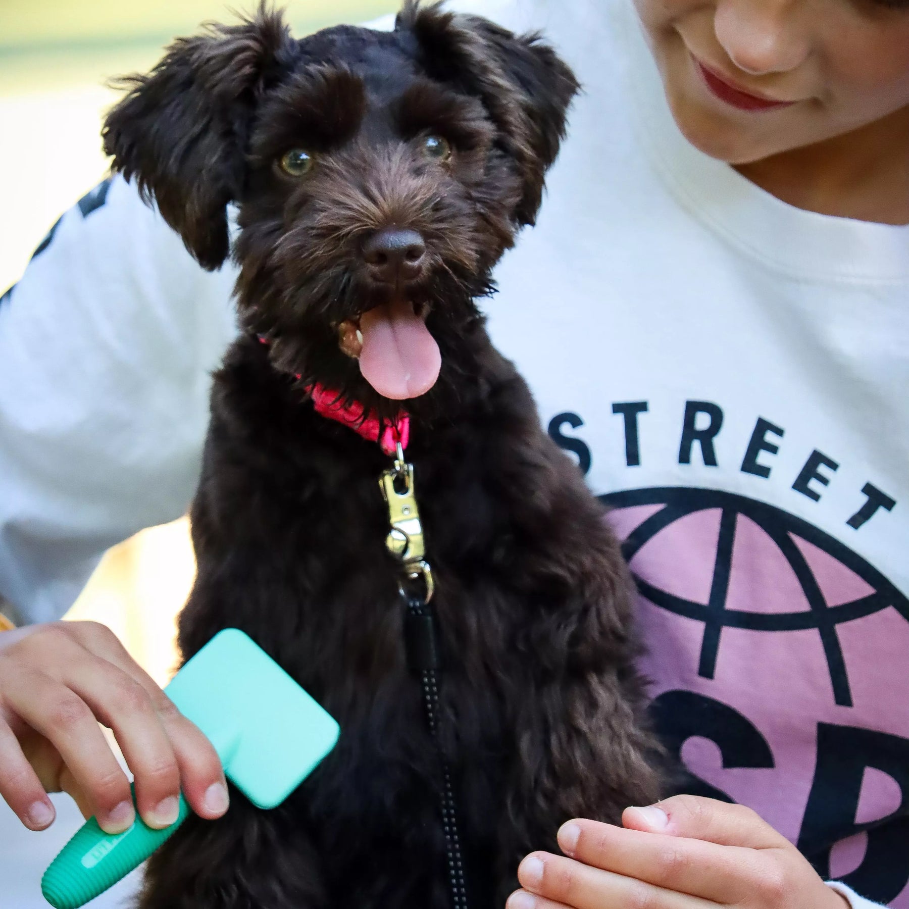 Coastal - Puppy Grooming Kit Li'l Pals
