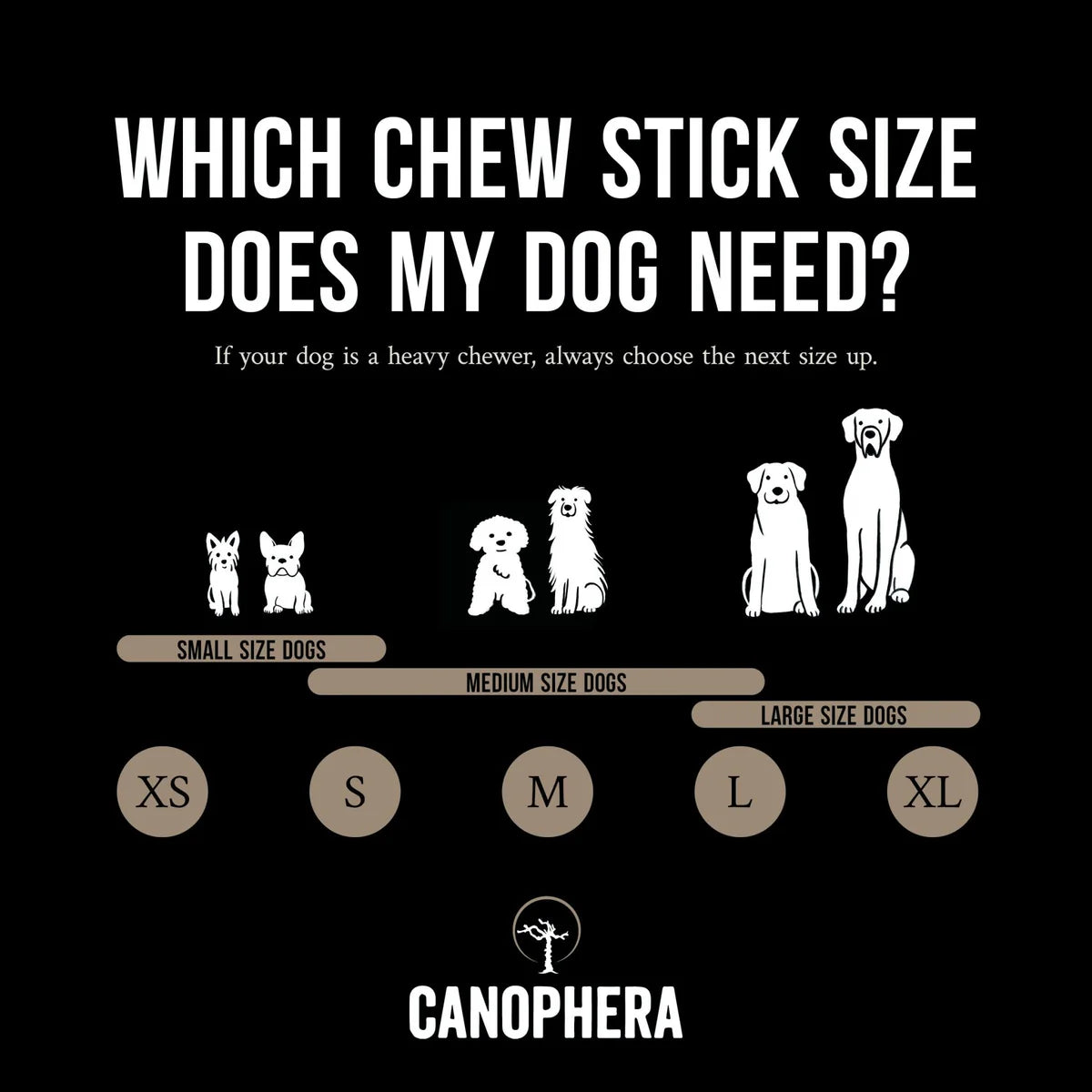 Canophera - Sheep Horn Dog Treat