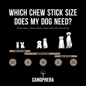 Canophera - Sheep Horn Dog Treat