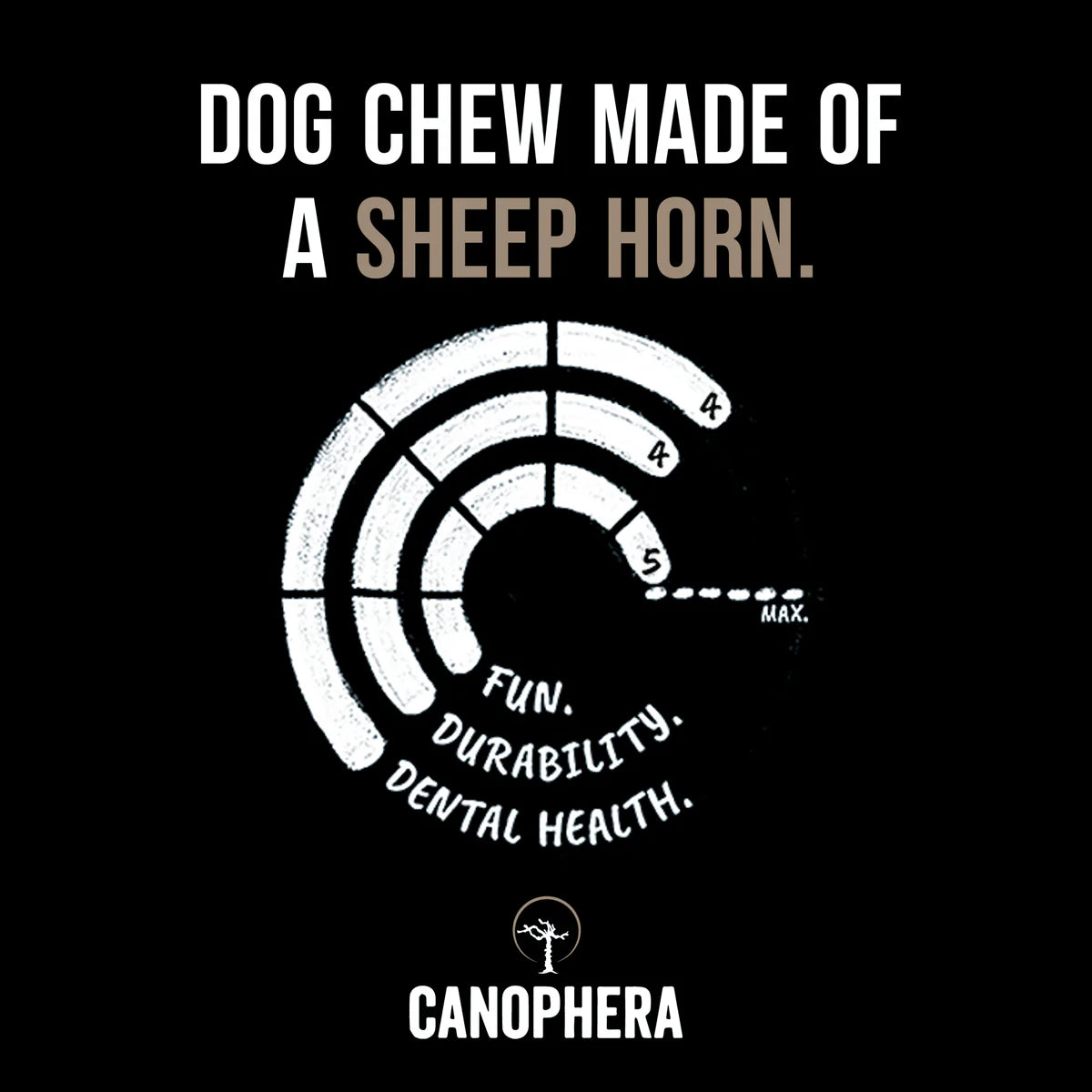 Canophera - Sheep Horn Dog Treat
