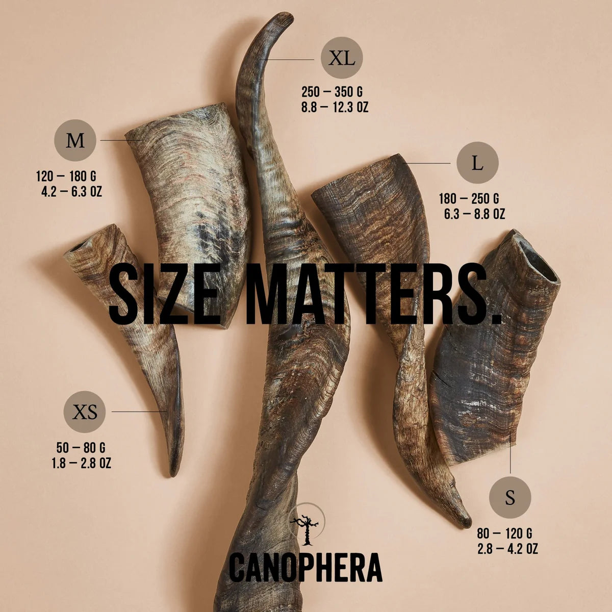 Canophera - Sheep Horn Dog Treat