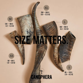 Canophera - Sheep Horn Dog Treat