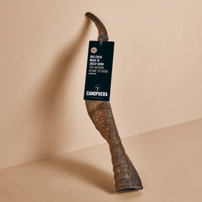 Canophera - Sheep Horn Dog Treat