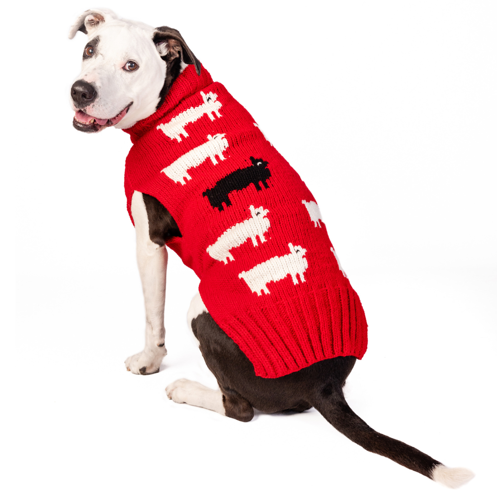 Chilly Dog - Dog Sweater Black Sheep