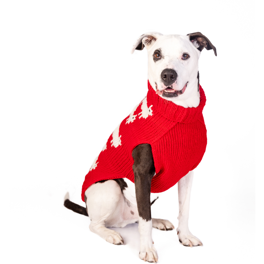 Chilly Dog - Dog Sweater Black Sheep