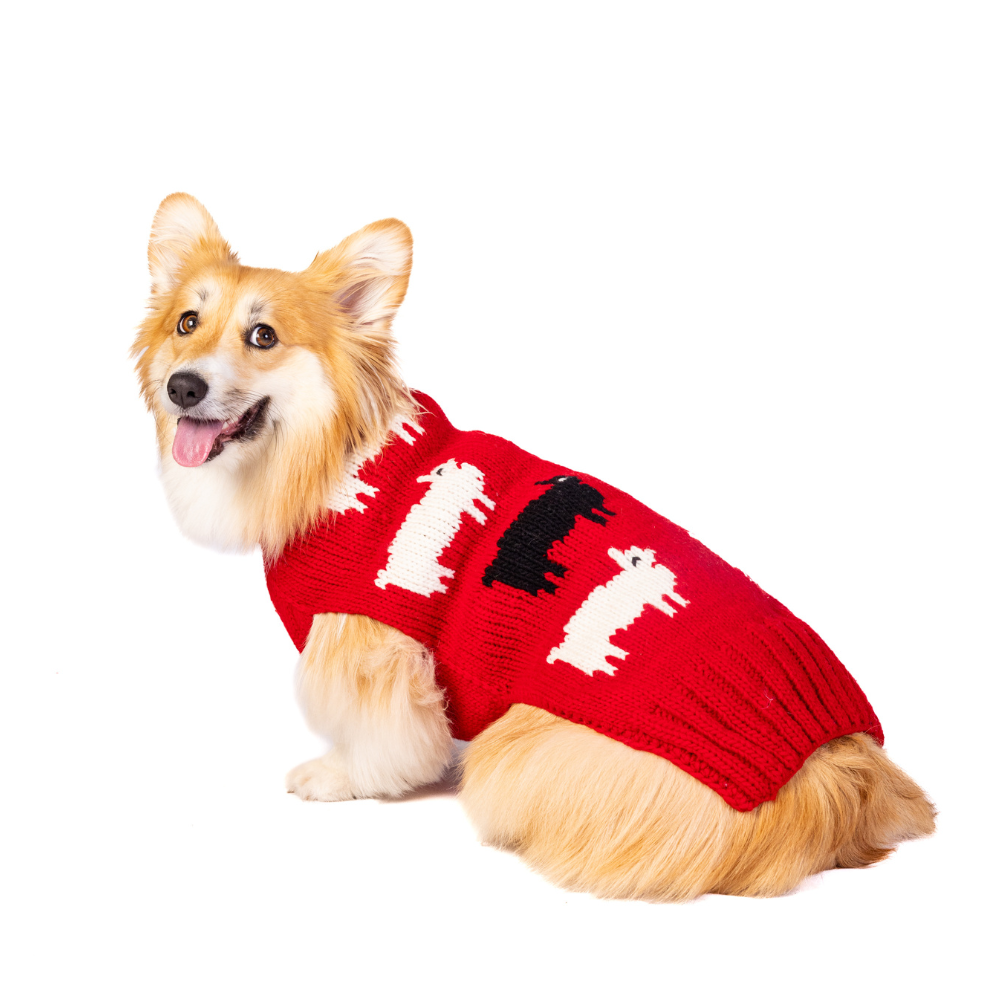 Chilly Dog - Dog Sweater Black Sheep
