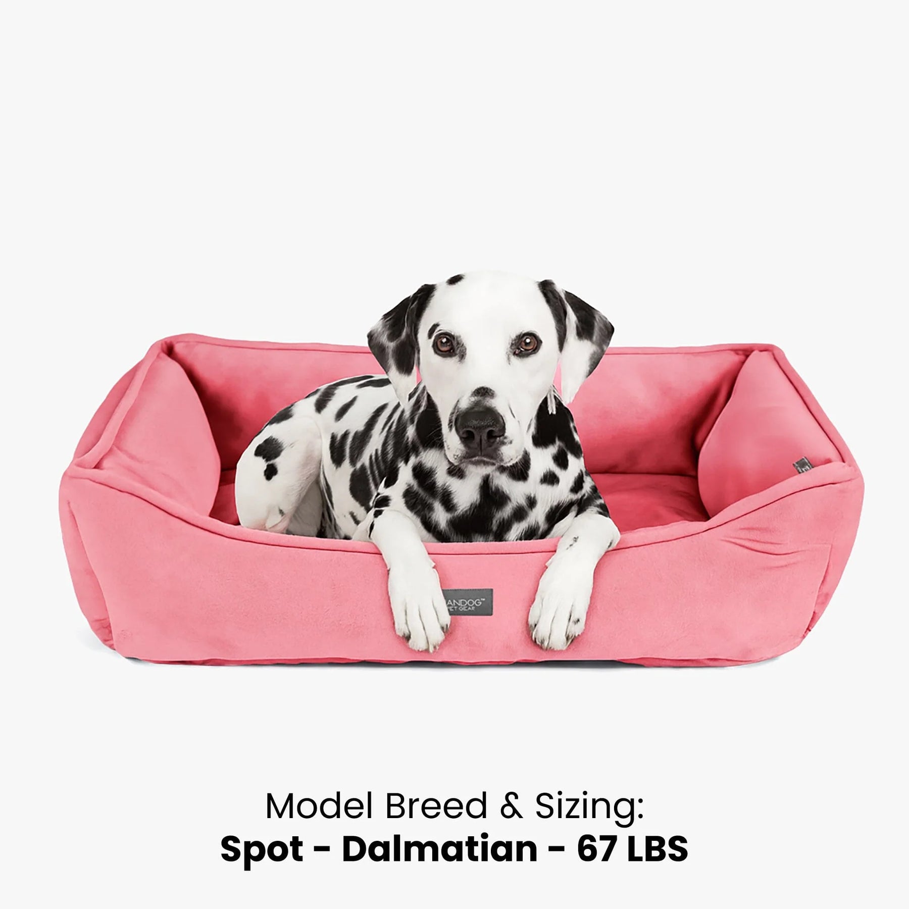 Nandog Pet Gear - Signature Bed In Electric Pink