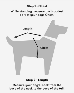 Rainbow Dog Costume