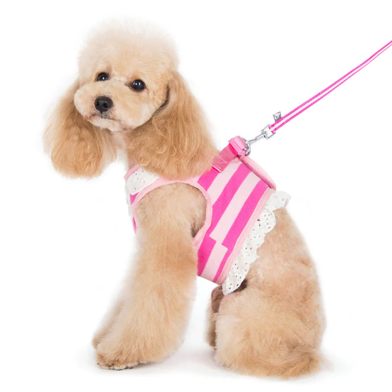 Dogo Pet - SnapGO Polo Girl Harness