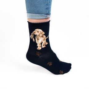 Wrendale Designs- Sock Dog "Hopeful" Navy