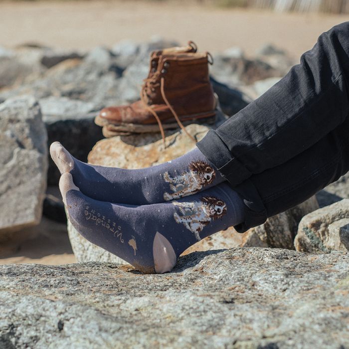 Wrendale Designs- Sock Men's Spaniel "Willow"