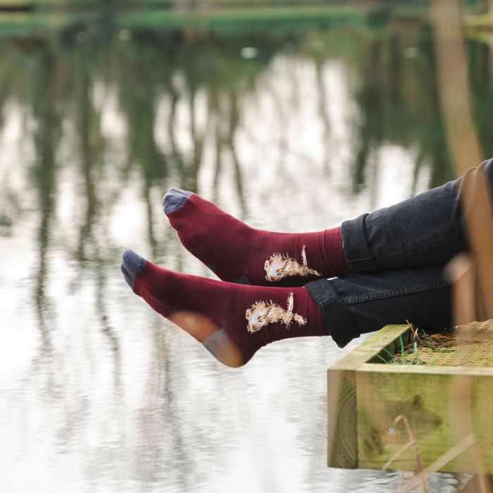 Wrendale Designs- Sock The Hare