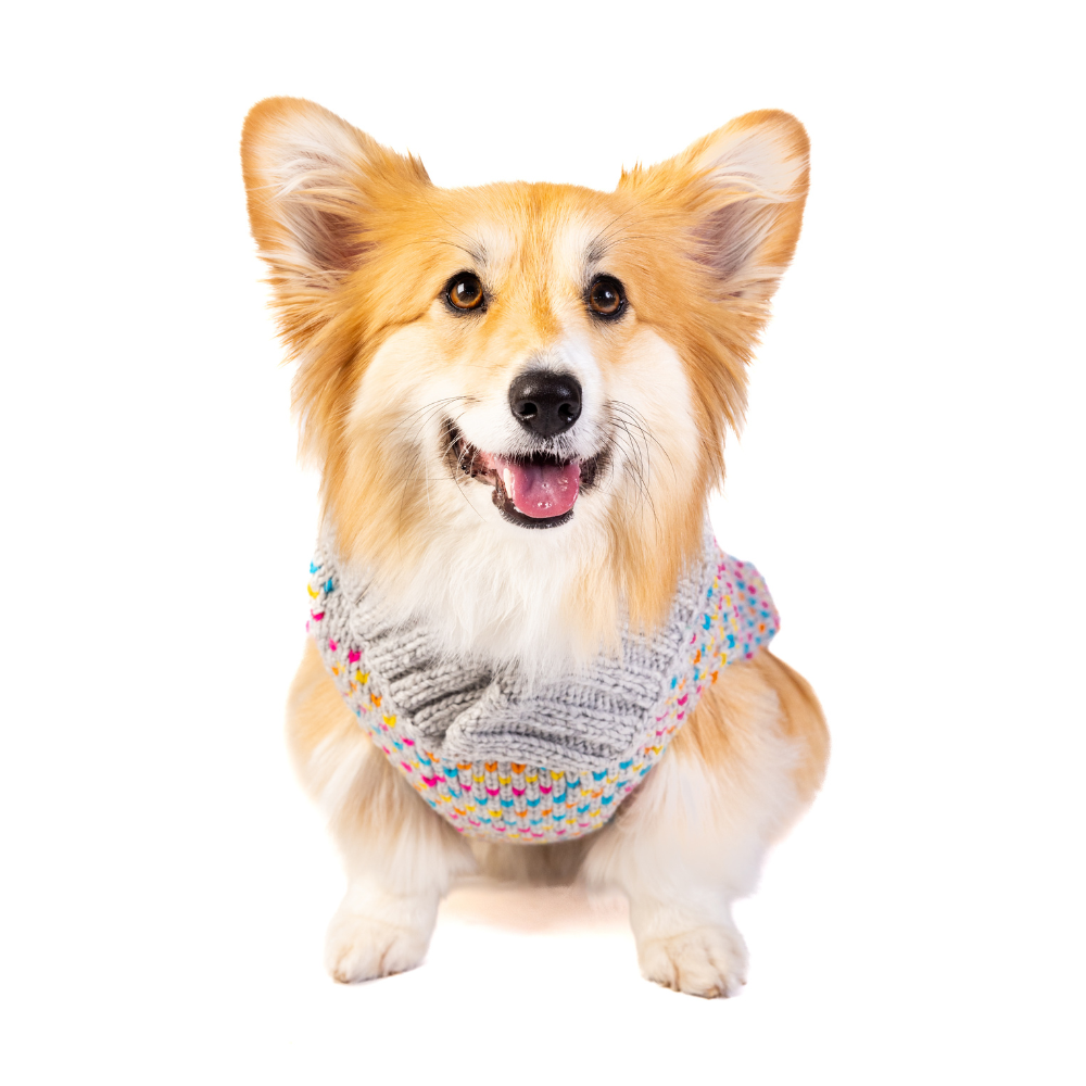 Chilly Dog - Dog Sweater Sprinkles