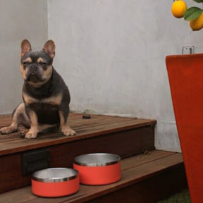 Tilley + Me - Stainless Steel Pet Food/Water Bowl - Dishwasher Safe
