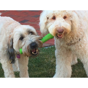 RuffDawg - Stick & Twig Dog Toy