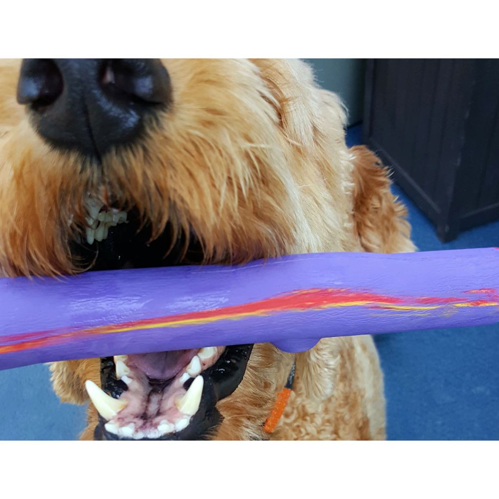 RuffDawg - Stick & Twig Crunch Dog Toy