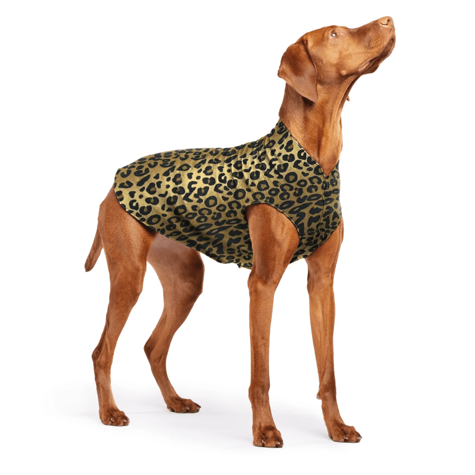 GoldPaw - Stretch Fleece Leopard