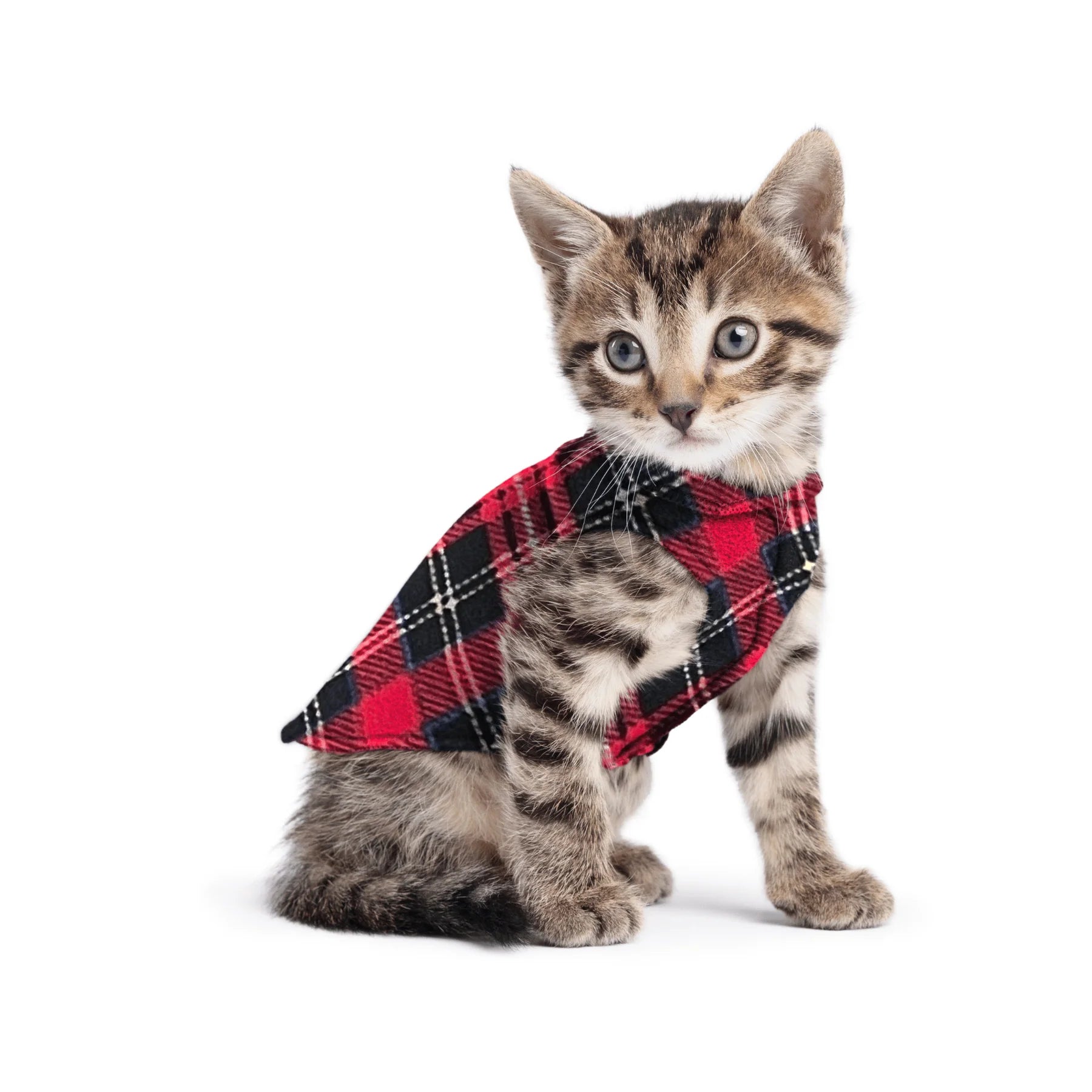 GoldPaw - Stretch Fleece Red Plaid