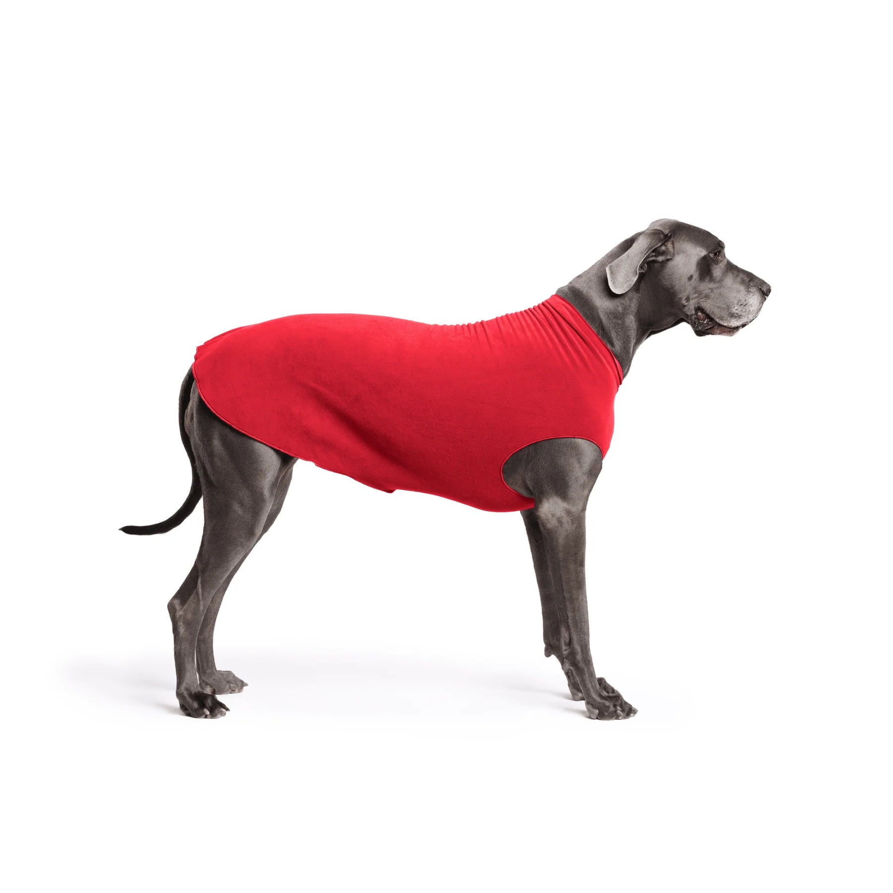 GoldPaw - Stretch Fleece Red