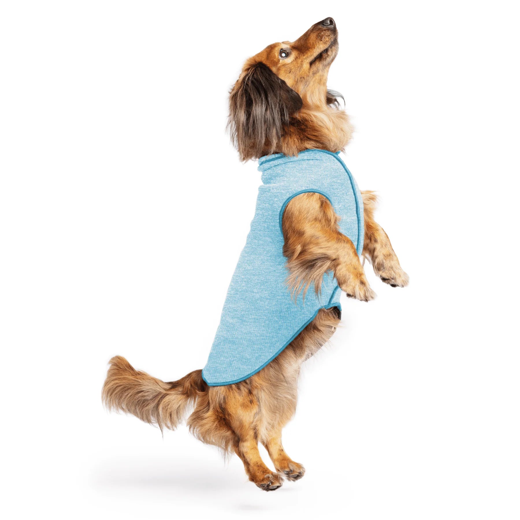 GoldPaw - Sun Shield Tee Ocean Blue