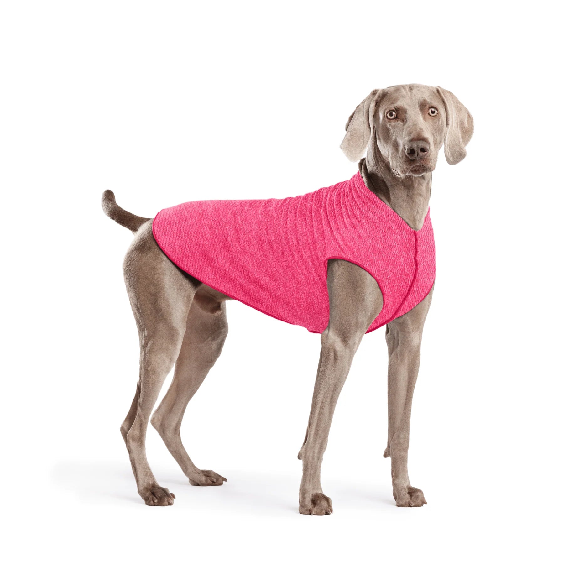 GoldPaw - Sun Shield Tee Ocean Flamingo