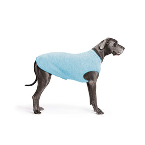 GoldPaw - Sun Shield Tee Ocean Blue