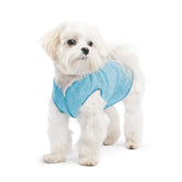 GoldPaw - Sun Shield Tee Ocean Blue