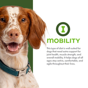 Fromm - Nutritionals Mobility Chicken & Whole Oates Dog Food