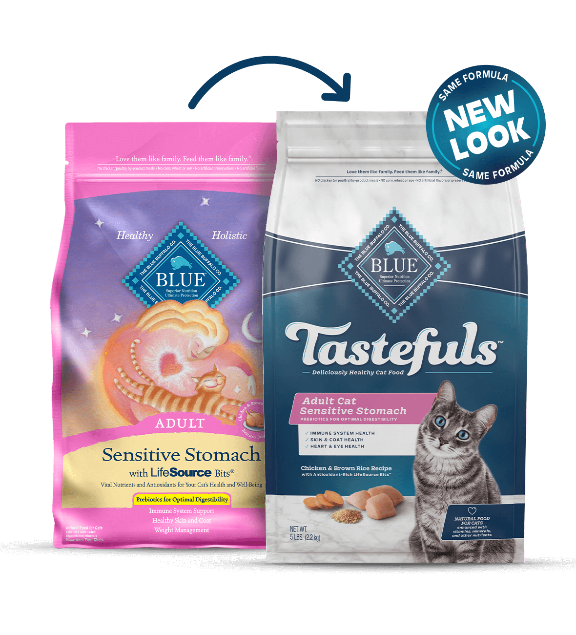 Blue Buffalo Sensitive Stomach - Adult Cat Chicken and Brown Rice Recipe Dry Cat Food - Southern Agriculture 