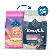 Blue Buffalo Sensitive Stomach - Adult Cat Chicken and Brown Rice Recipe Dry Cat Food - Southern Agriculture 