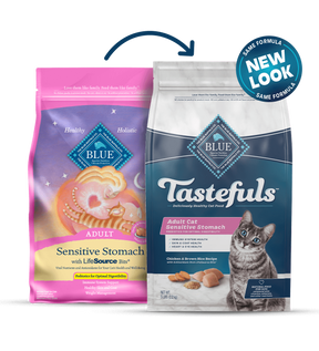 Blue Buffalo Sensitive Stomach - Adult Cat Chicken and Brown Rice Recipe Dry Cat Food - Southern Agriculture 