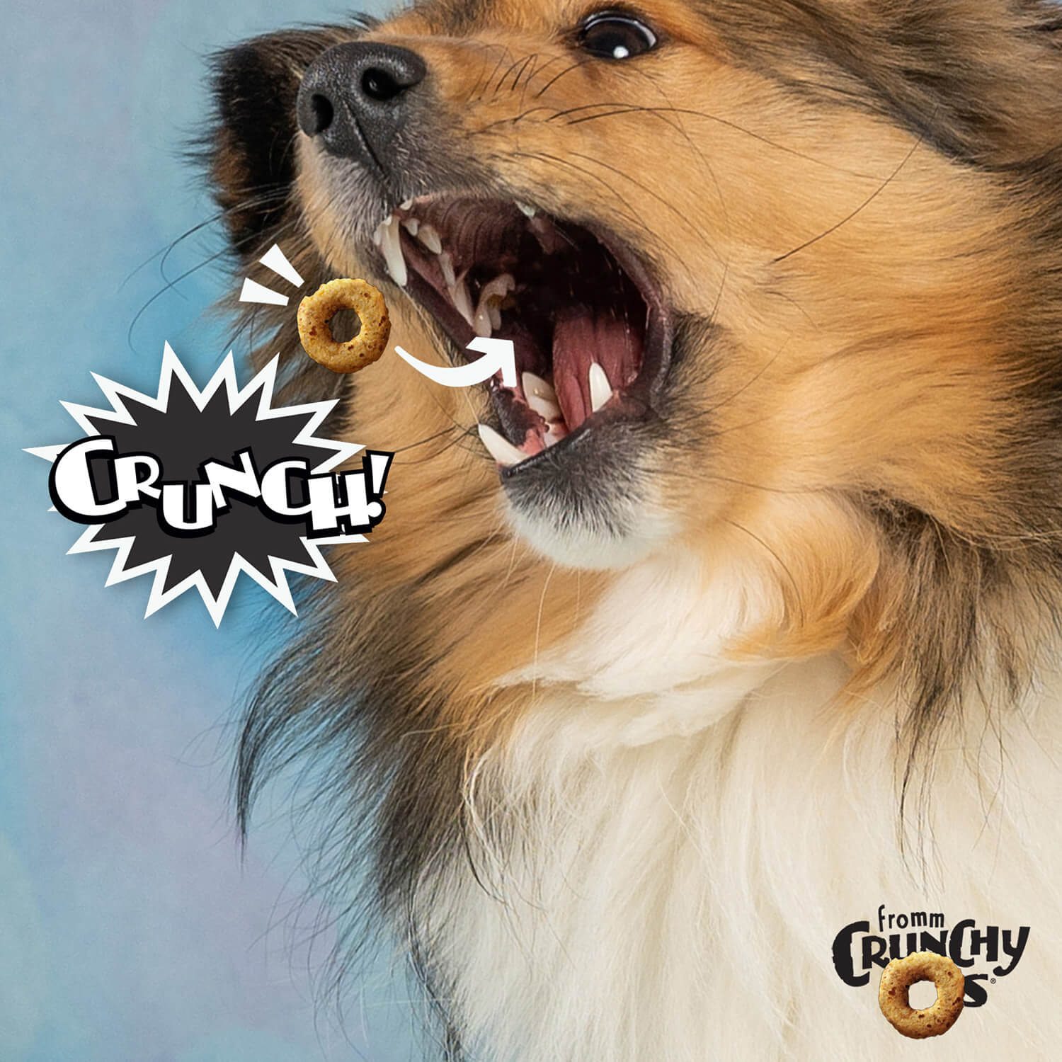Fromm - Crunchy O's Bacon Blasters - Southern Agriculture 