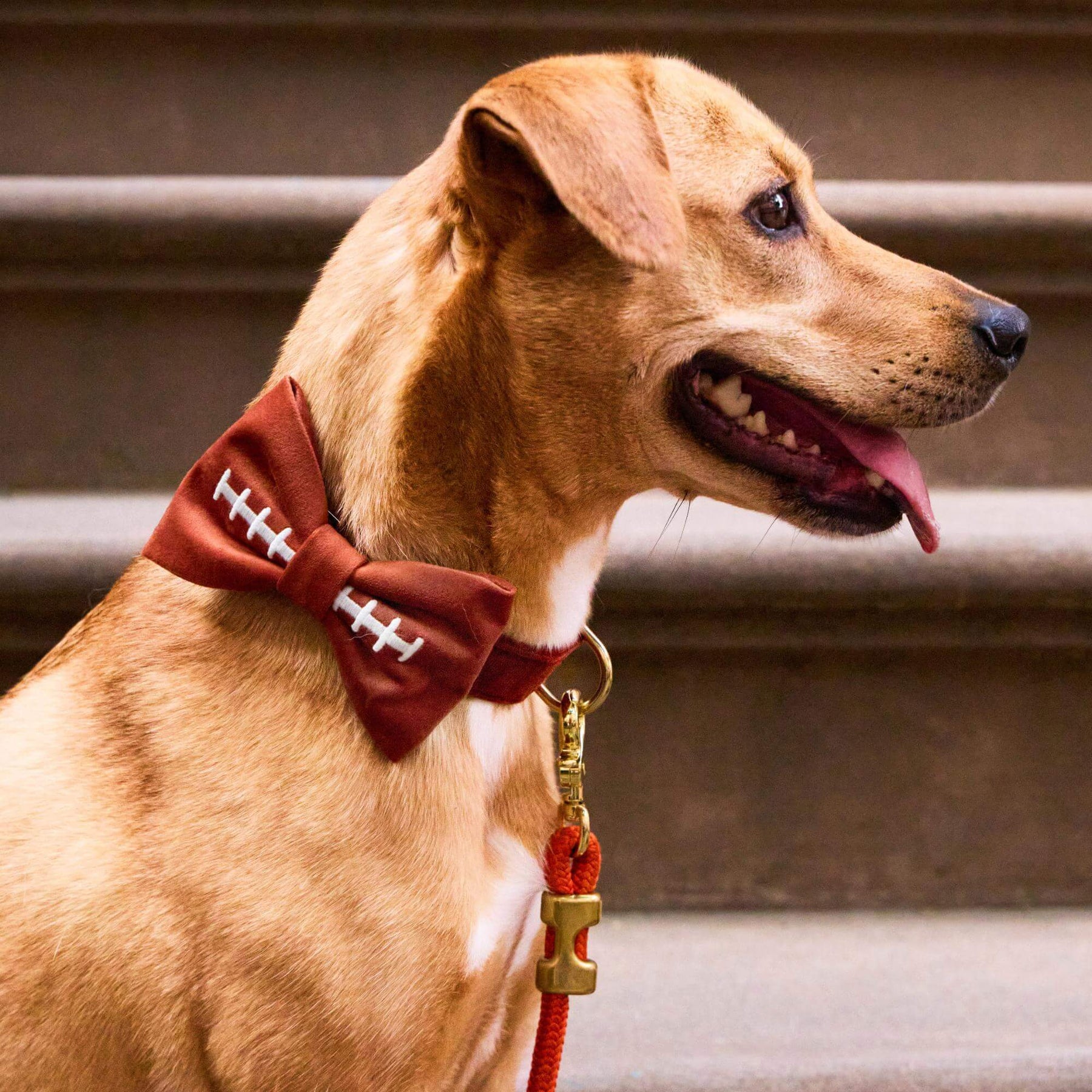 The Foggy Dog - Bow Tie Football Embroidered
