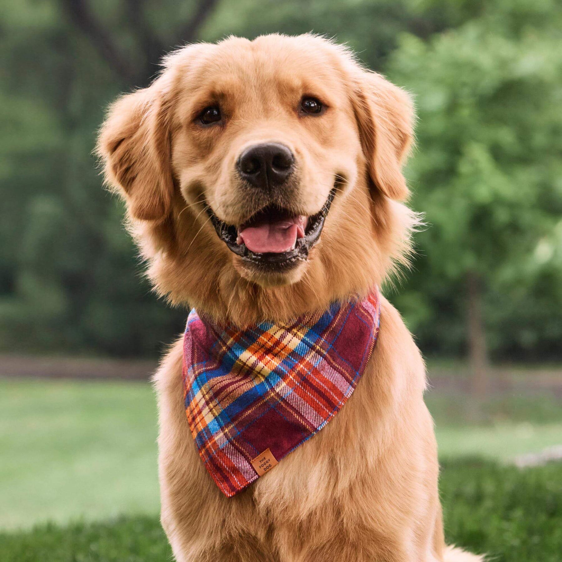 The Foggy Dog - Bandana Dog Marlow Plaid