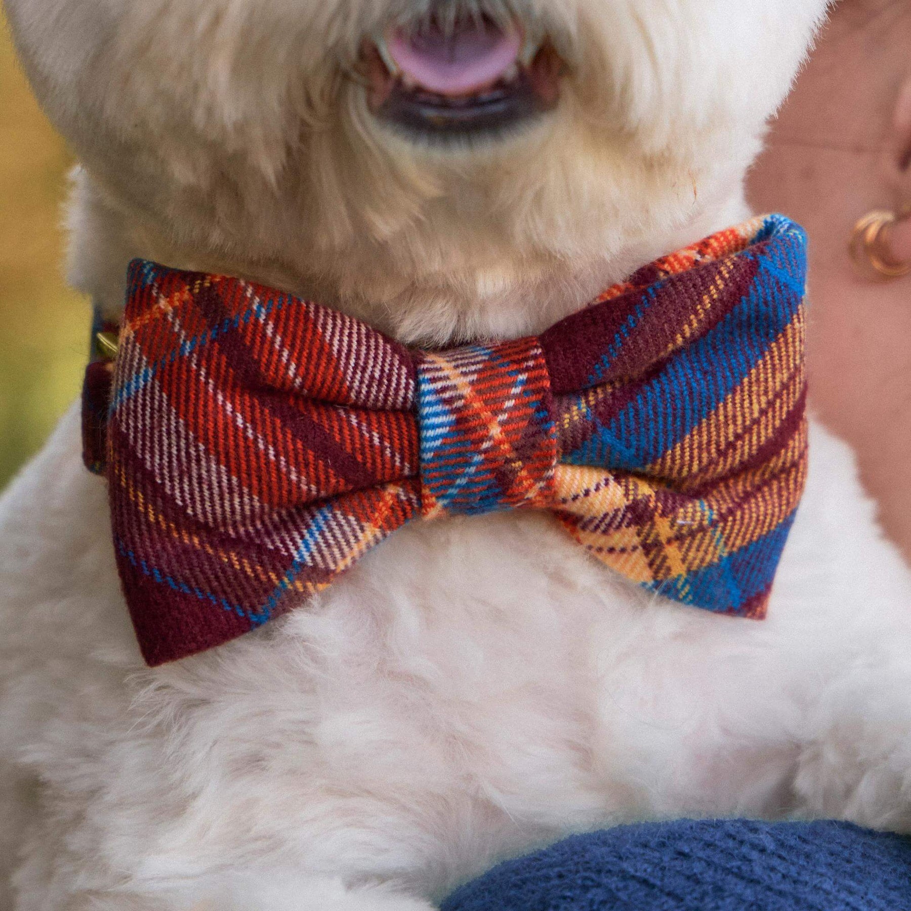 The Foggy Dog - Bow Tie Marlow Plaid Flannel