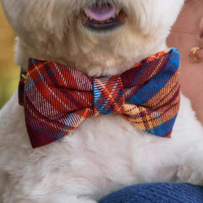 The Foggy Dog - Bow Tie Marlow Plaid Flannel