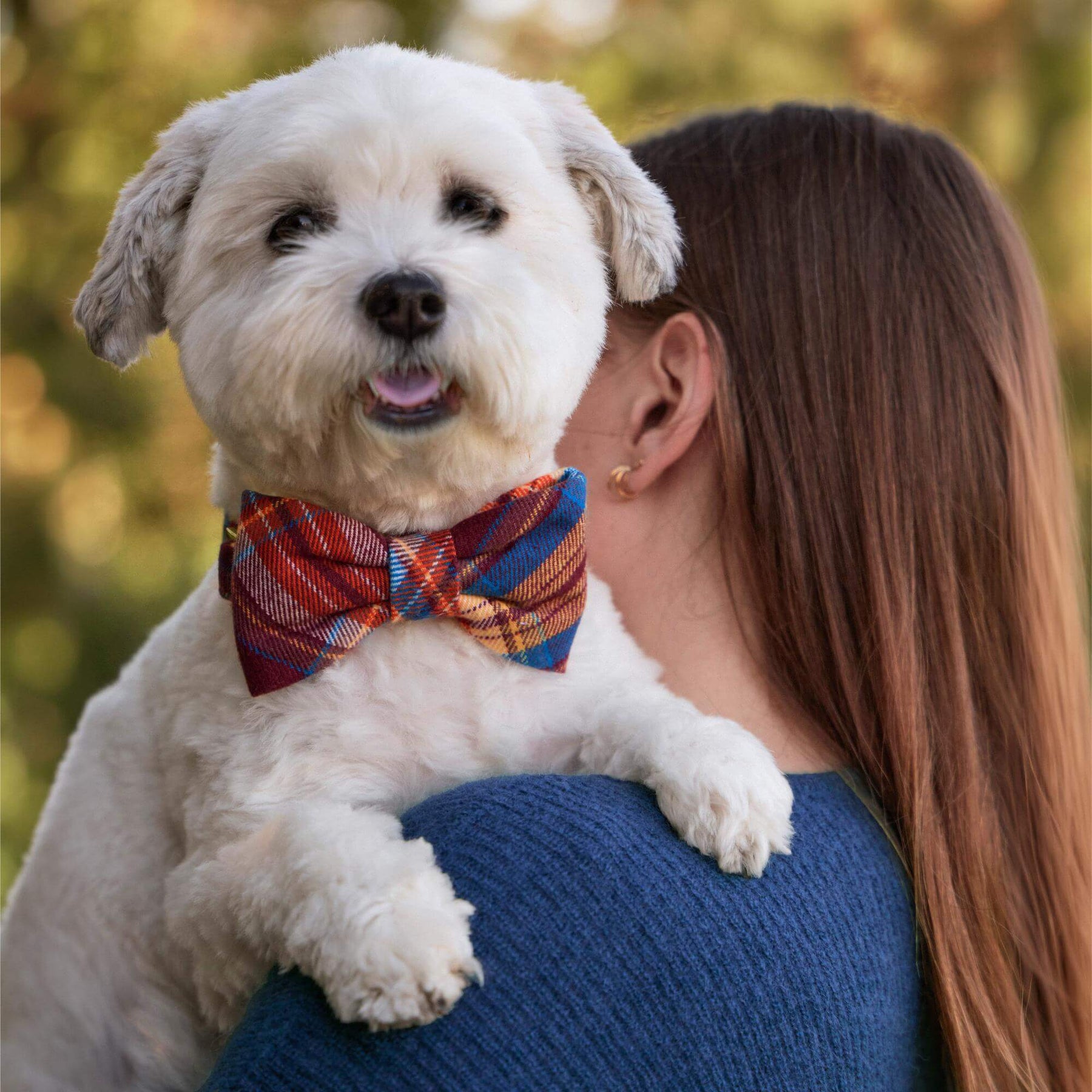 The Foggy Dog - Bow Tie Marlow Plaid Flannel