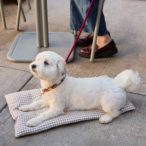 Foggy Dog - Dog Travel Mat