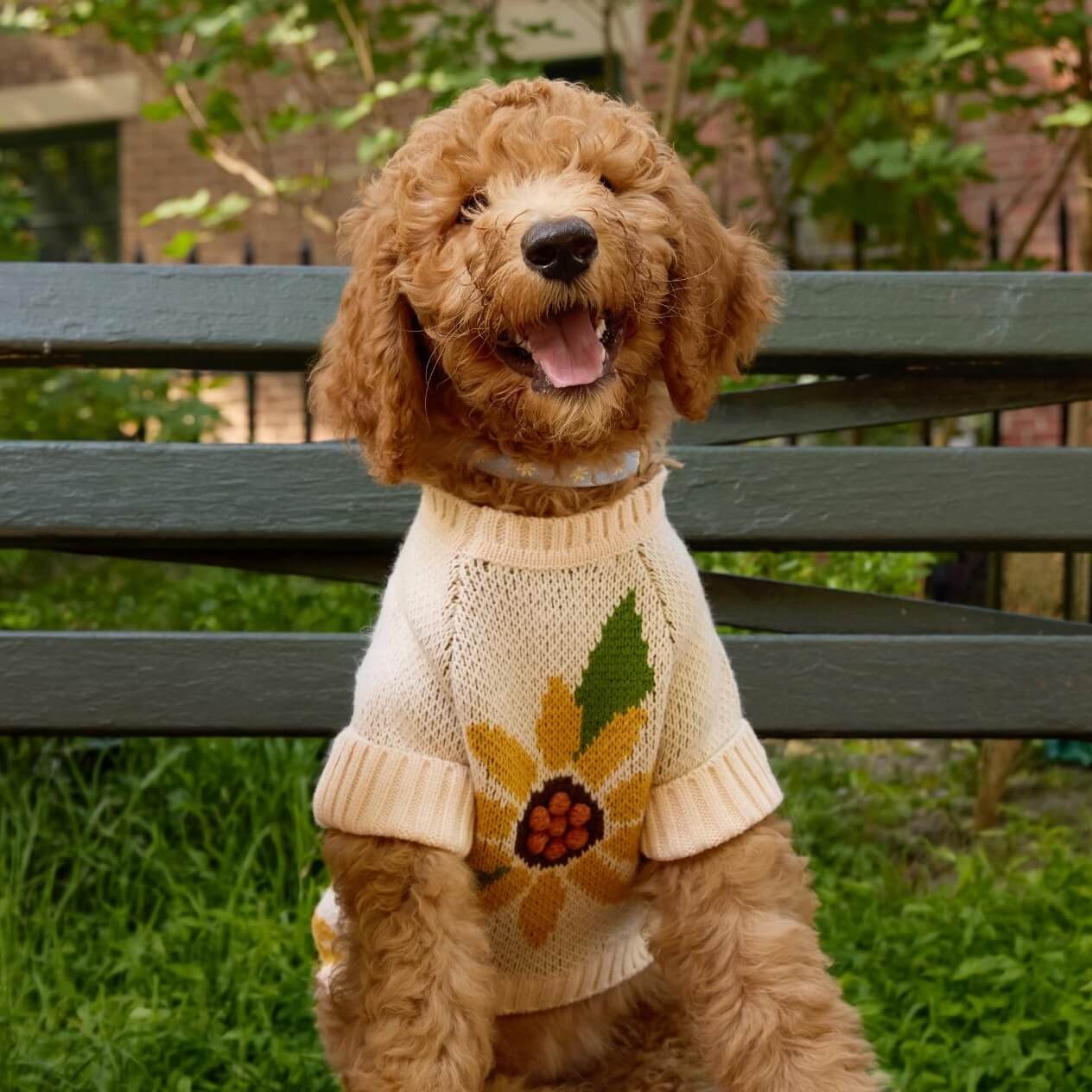 The Foggy Dog - Dog Sweater Sunflower