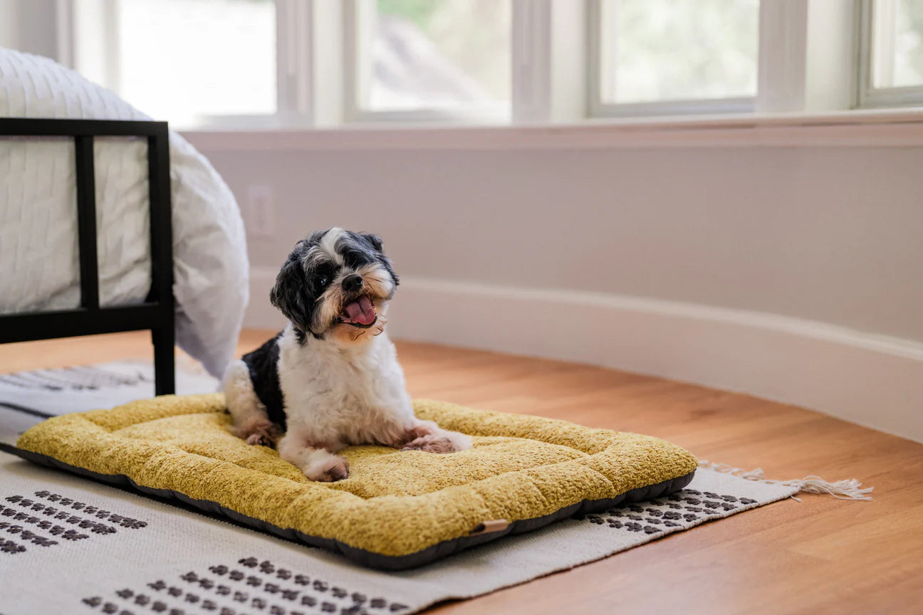 P.L.A.Y Pet Lifestyle And You - Chill Pad Canyon Series