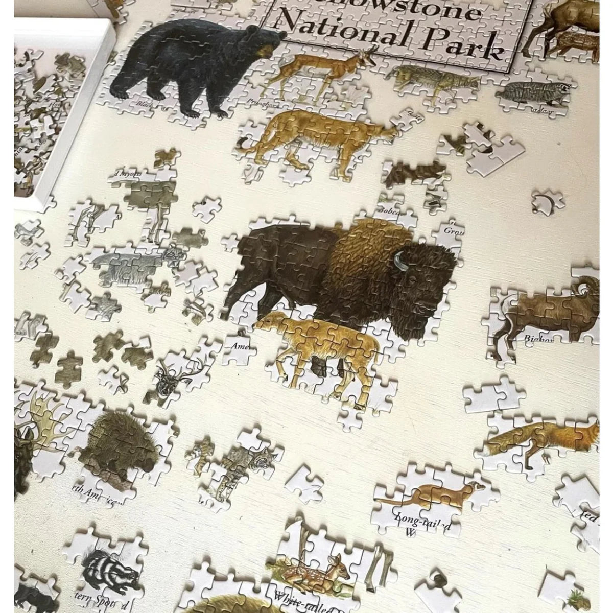 MasterPieces - Puzzle Mammals of Yellowstone 1000 Piece