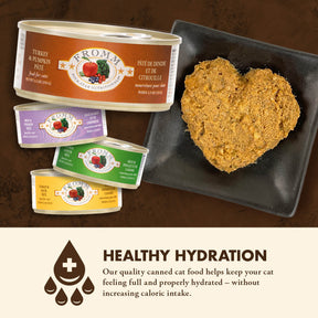 Fromm - Four Star Turkey & Pumpkin Pate Grain Free