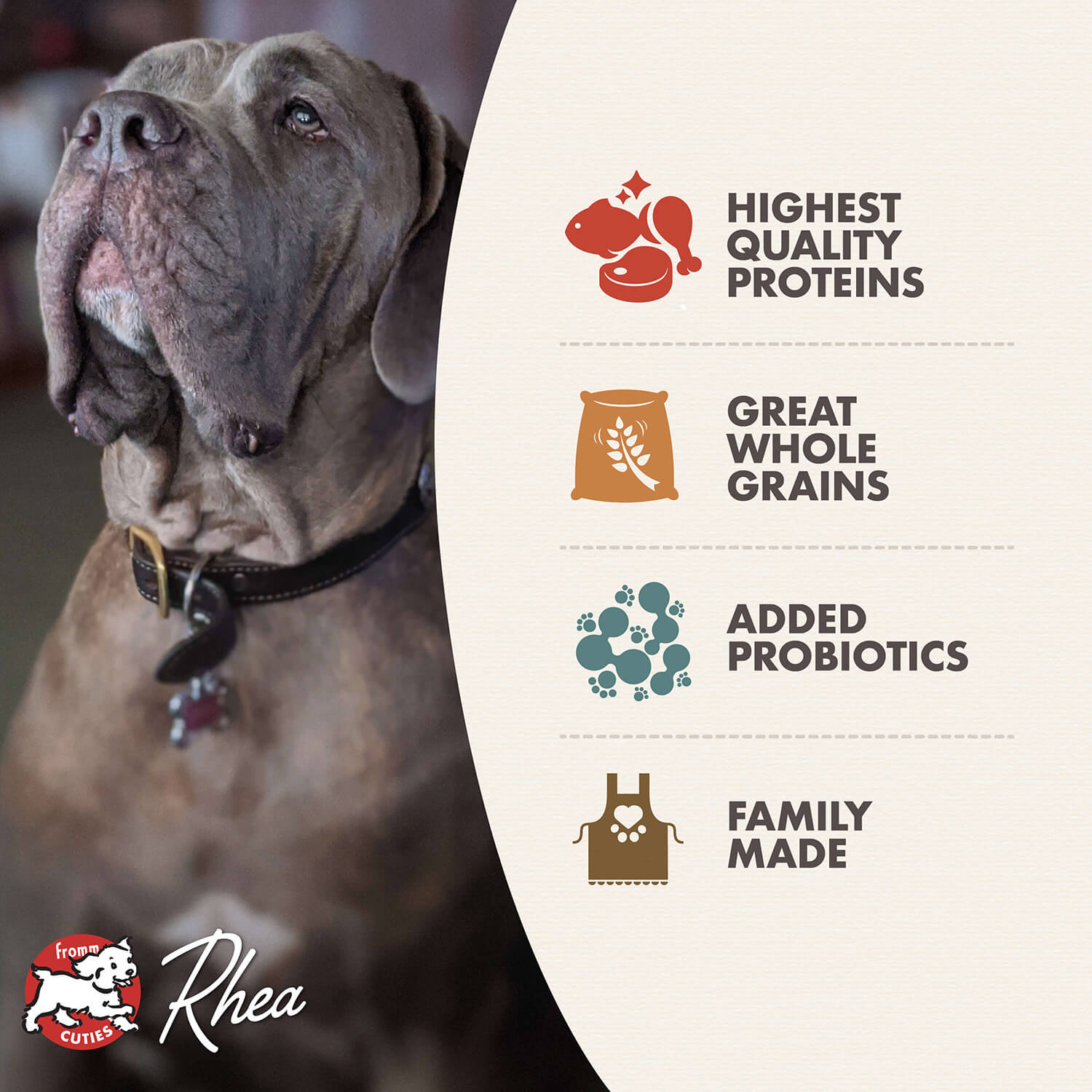 Fromm - Classic Adult Large & Giant Dog Food