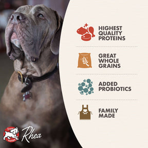 Fromm - Classic Adult Large & Giant Dog Food