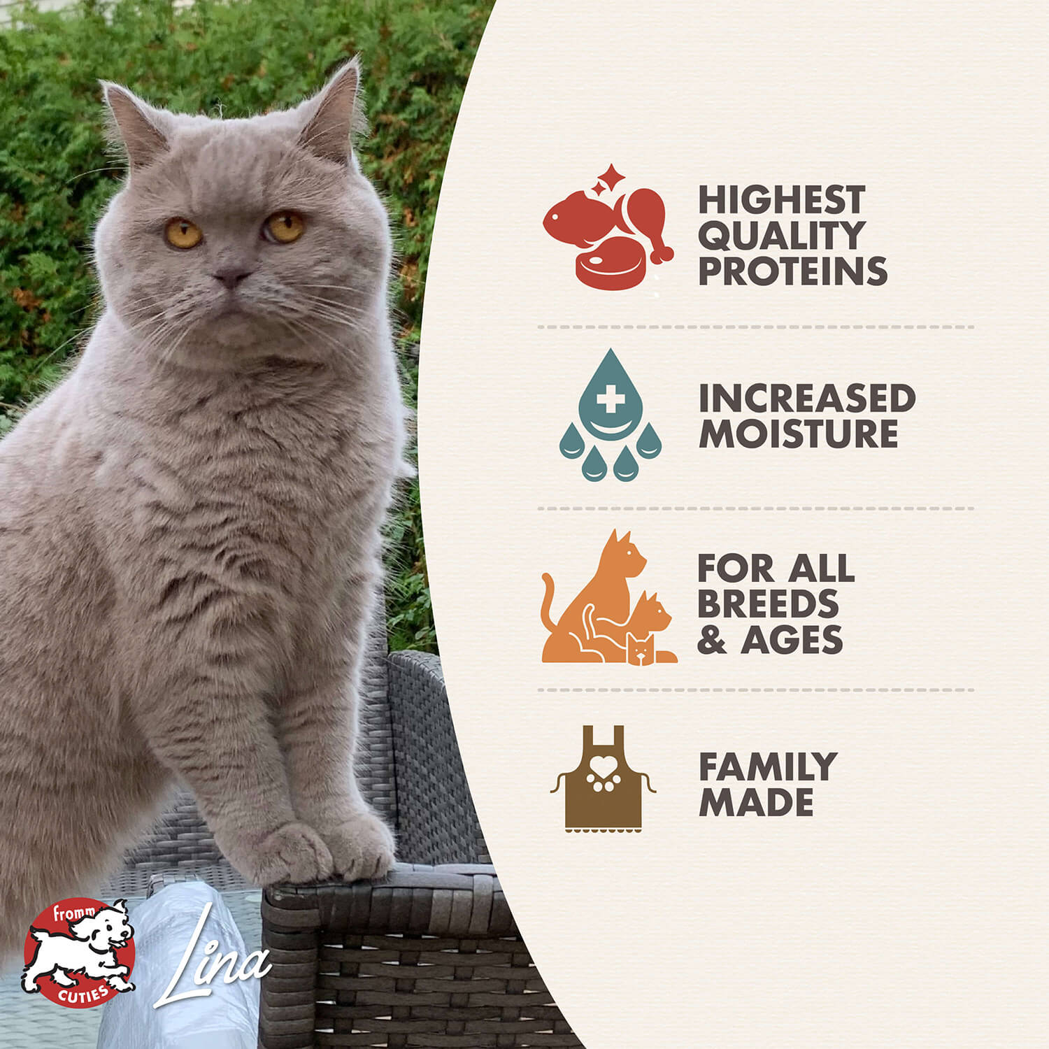 Fromm - Four Star Chicken, Duck & Salmon Pate Cat Can Food - Southern Agriculture 
